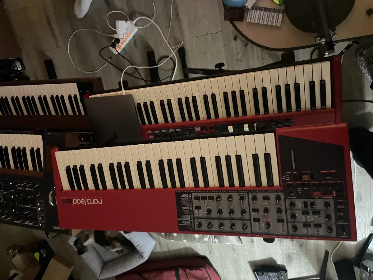 nord lead 2x 신디사이저